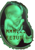 fetus.gif