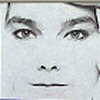 bjork_icon.jpg